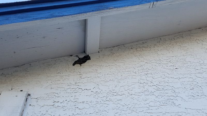 Damaged Stucco Patching